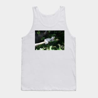 Young Alligator Tank Top